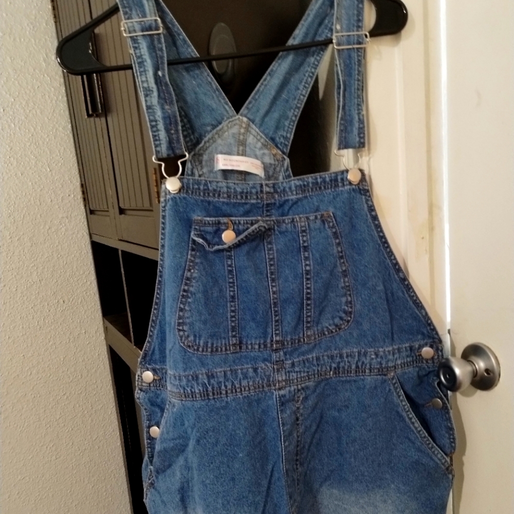 No Boundaries Overall Shorts